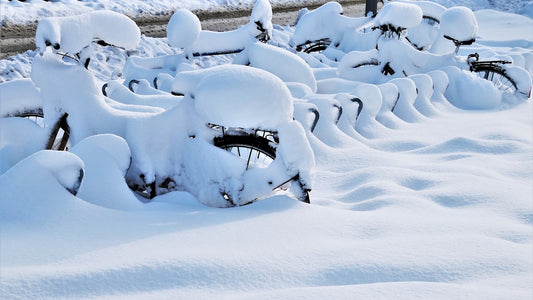 5 Tips for Managing Season Switchover When the Season Just... Doesn't... End
