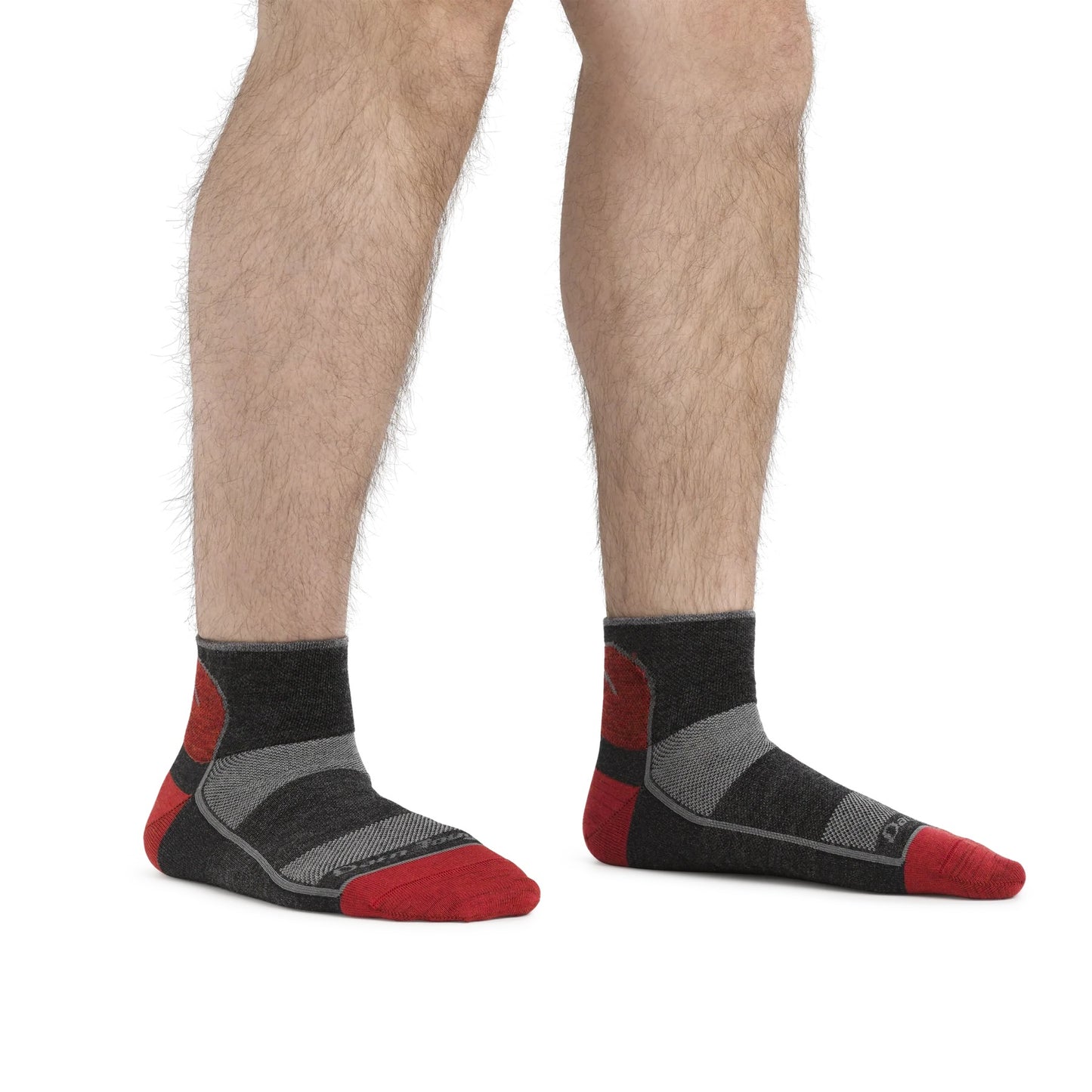 1715_Team-DTV_Model.jpg