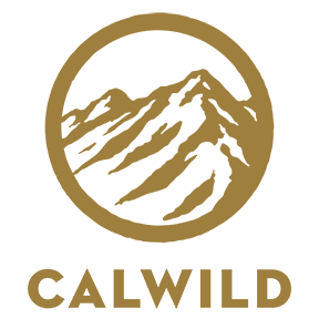 Pando Conservation Club Donation