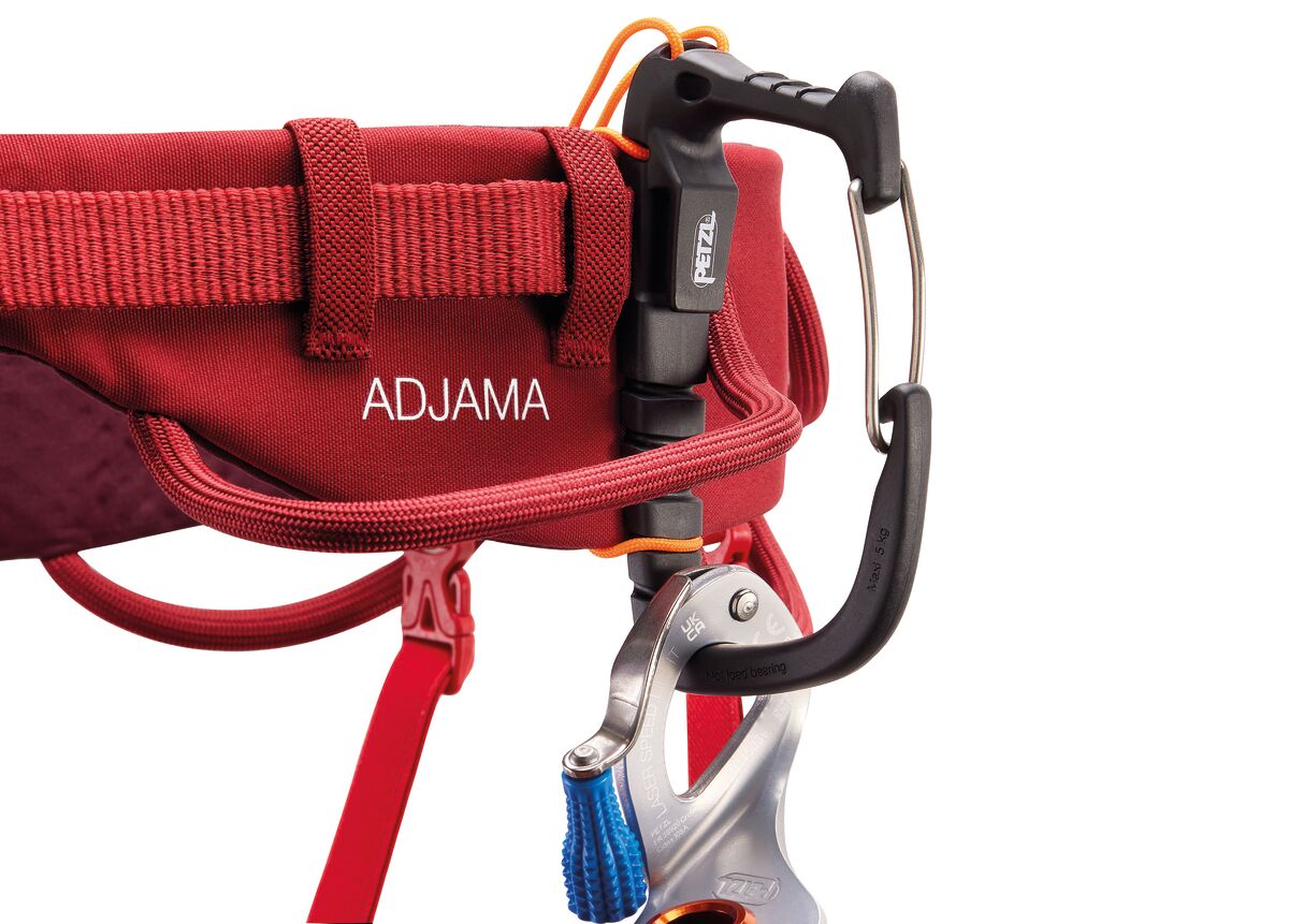 C022CA-ADJAMA-focus-4_LowRes.jpeg