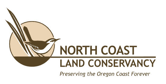 Pando Conservation Club Donation