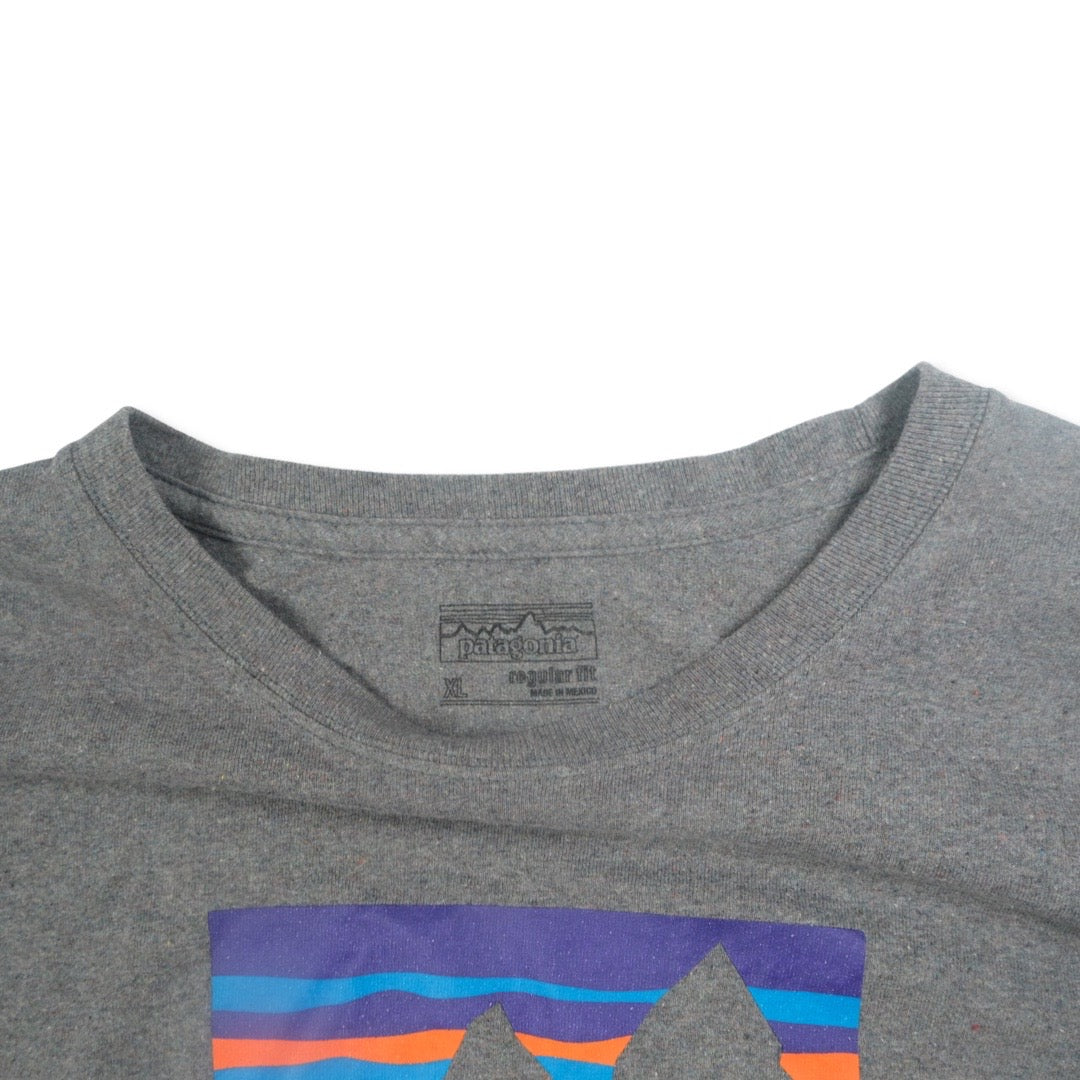 Patagonia Logo Tee