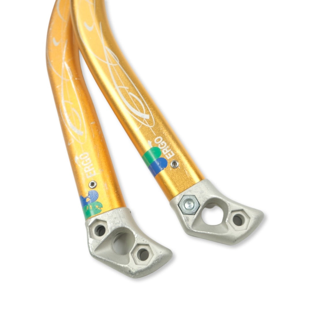 Petzl Charlet Ergo Ice Tools