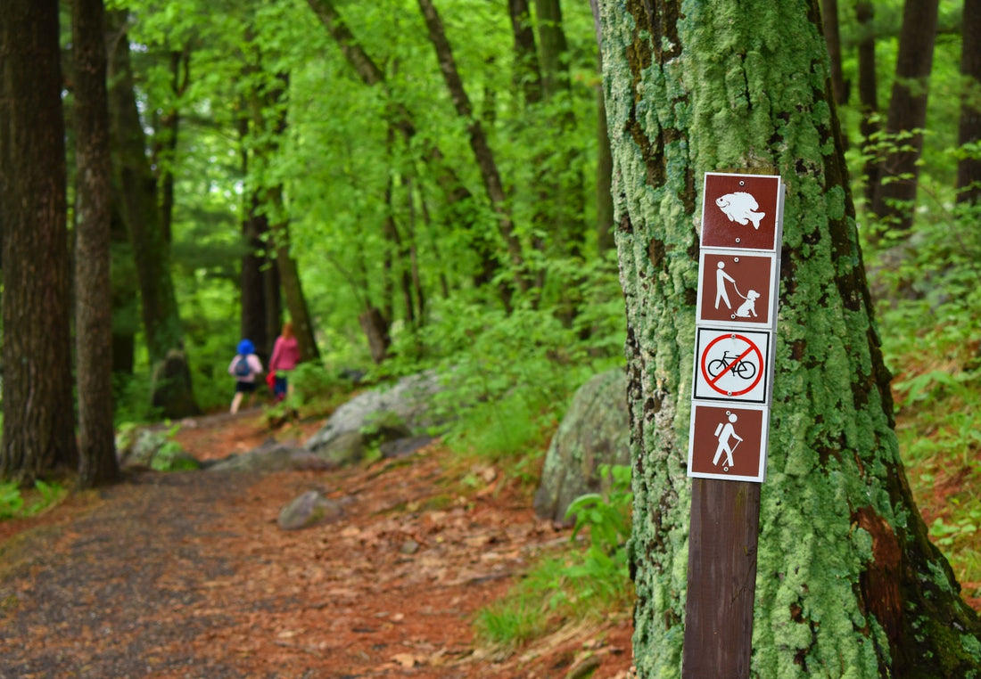Leave No Trace Basics