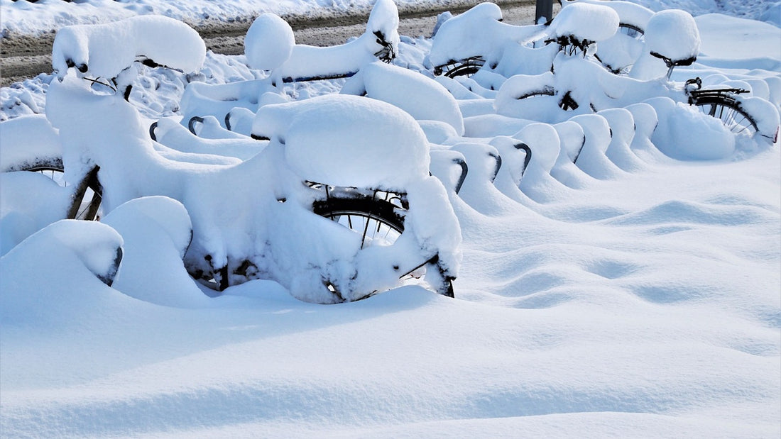 5 Tips for Managing Season Switchover When the Season Just... Doesn't... End