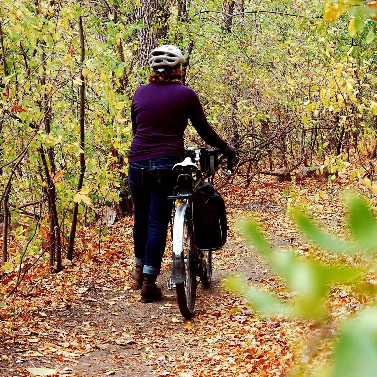 01110_banjobrothers_waterproof_pannier_on_a_bike_in_the_woods.jpg