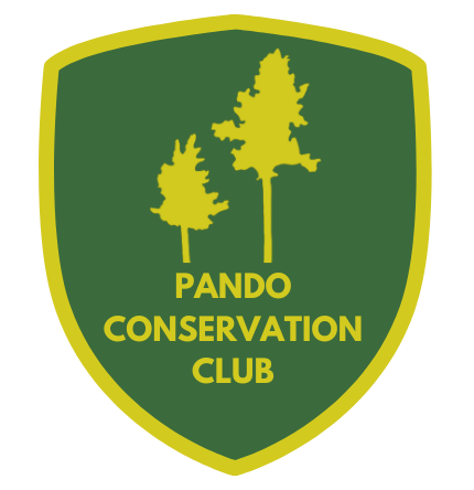 Pando Conservation Club Donation