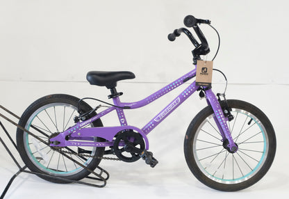 BTWO6313.jpg