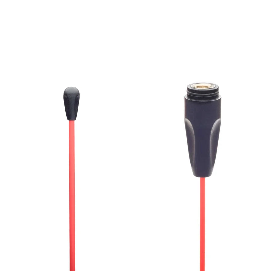 RT_WHIP0058.webp