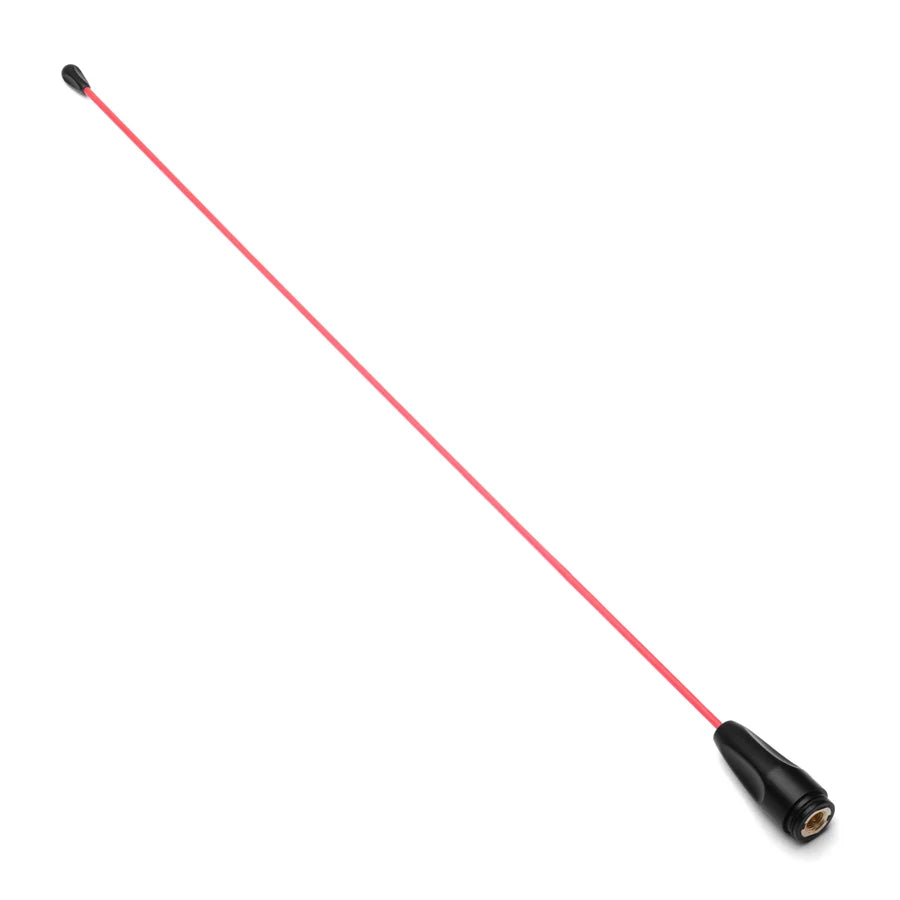 RT_WHIP0027_1.webp