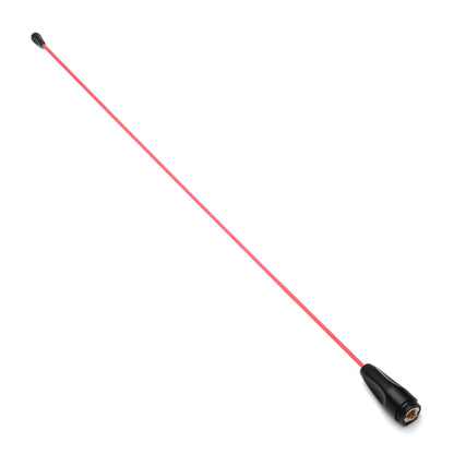 RT_WHIP0027_1.webp