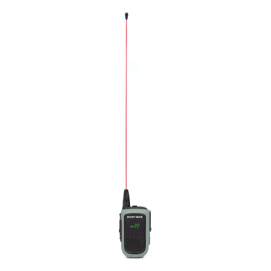 RT_WHIP0037_1.webp