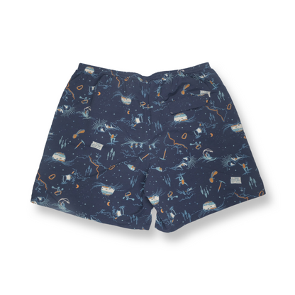 Patagonia Men's Baggies Shorts