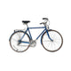 Suteki Track 10 Bicycle - Step Over
