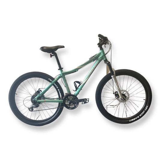 Giant Rincon Mountain Bike